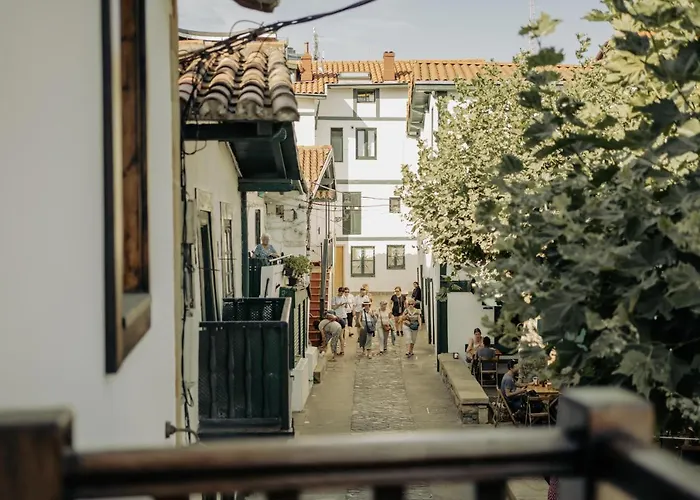 Apartamentos Etxetxu Branka eta Ankora